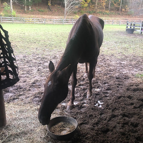 Ron Dean_edited_edited_edited_edited.jpg