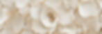 F8DBE3C0-992F-4624-A7DE-CFF78E55014B_edited.jpg