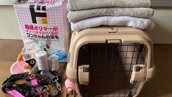 小型犬用キャリー、トイレシーツ、タオル、リード、オモチャのご支援を頂きました。
