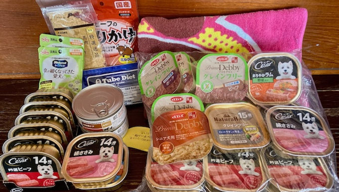 各種ウェットフードのご支援をいただきました