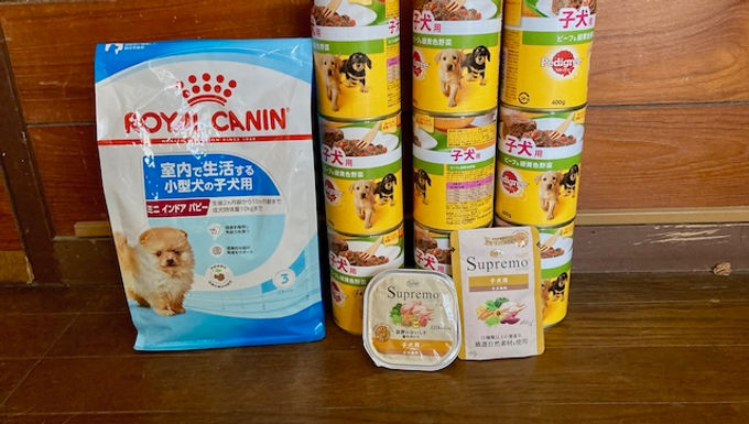 仔犬用フードなどのご支援をいただきました