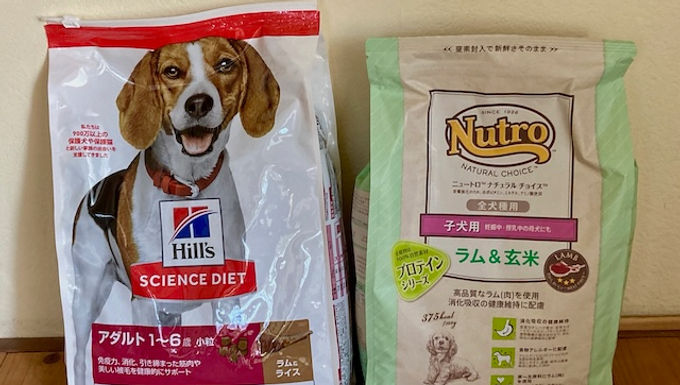 ドライフード（子犬用、成犬用）のご支援をいただきました
