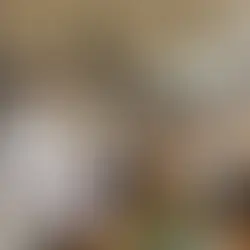 契約前見積もり診断|見積もりの“モヤモヤ”を解消してくれた、第三者の確かな目