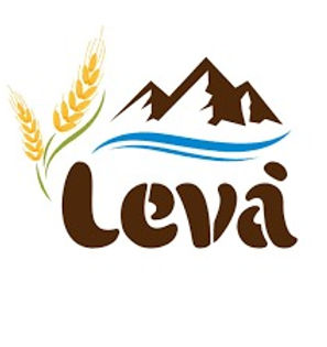 WhatsApp Image 2025-11-13 at 08.09.30.jpeg