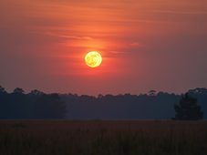Eye-level view of the full moon rising above the eastern horizon over a calm landscape