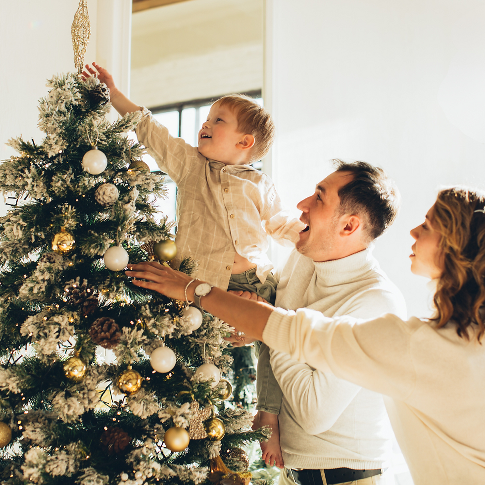 a family decorating their Christmas tree