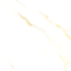 a bone white with light gold marble effect_edited_edited.jpg