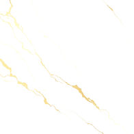 a bone white with light gold marble effect_edited.jpg