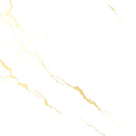 a bone white with light gold marble effect_edited.jpg