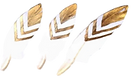 image0 (6)_edited.png