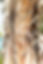 IMG_5414.jpeg