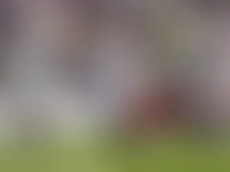 Le PSG en tête de son groupe et qualifié pour les huitièmes de finale