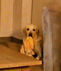 341785846_1061560108137843_4376938809765633604_n