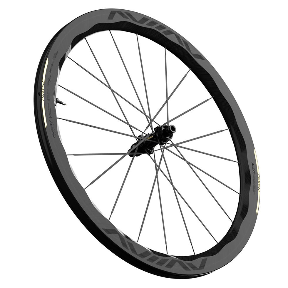 섬네일: ALDO2 DISC CLINCHER TLR