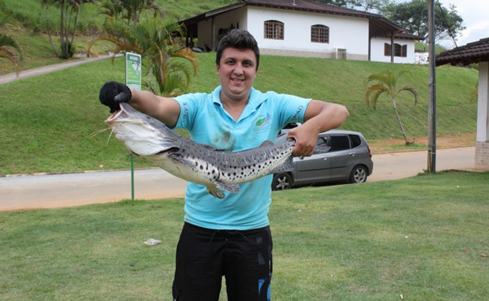 fisgado com pão flutuando