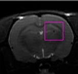 Screen Shot 2022-01-24 at 13.06.57.png