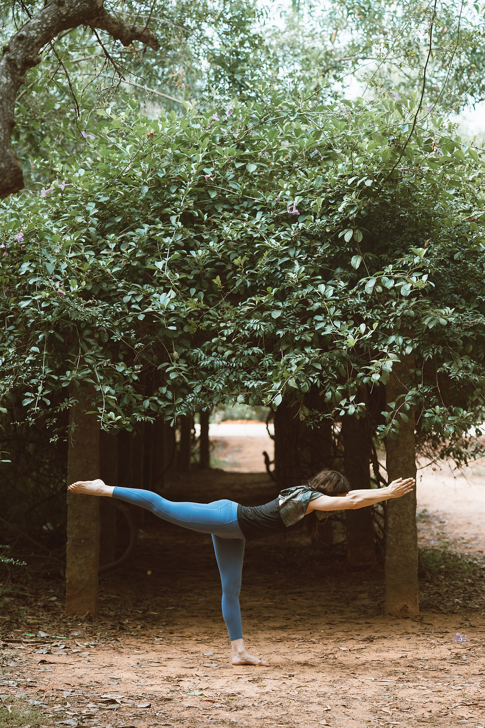 Virabhadrasana III