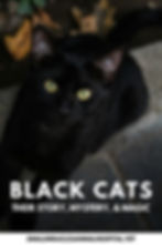 Black cat with yellow eyes on a dark stone background. Text: "BLACK CATS: THEIR STORY, MYSTERY, & MAGIC." Website: smallmiraclesanimalhospital.vet.