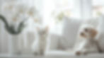 White kitten and fluffy dog sitting on a white couch next to an orchid in a bright, airy room. Calm and serene atmosphere.