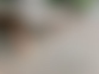 【東京都/世田谷区/祖師ヶ谷大蔵】第26回おそうじ