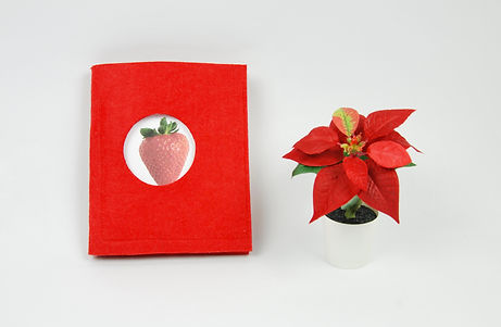 Exemple de pochette fermée d'images classifiées sur les fruits