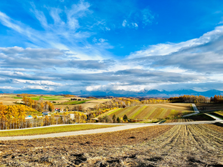 四季彩の丘風景　shikisai-no-oka scenic view