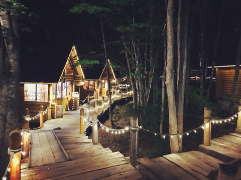 夜の森、ストリングライトが輝く木道と小屋。