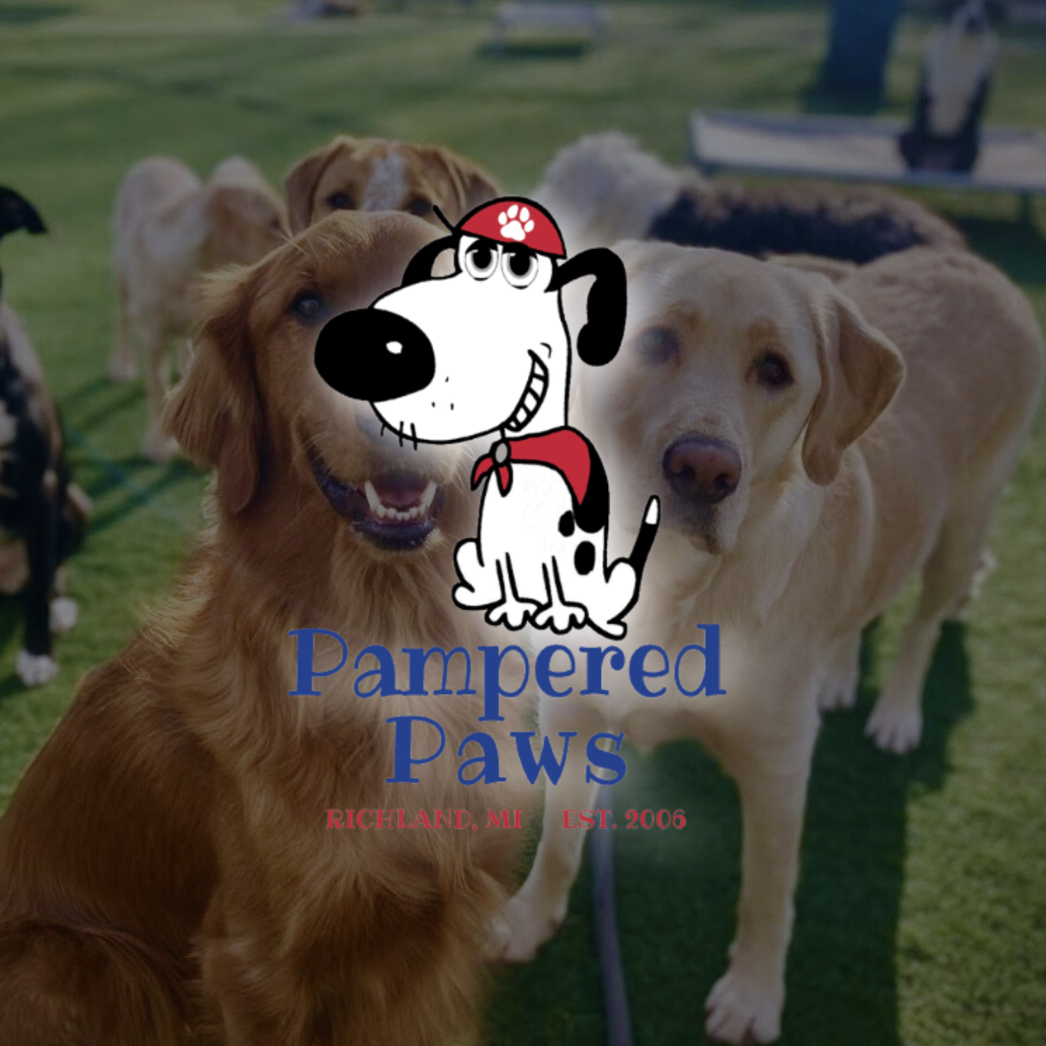 Writer: Pampered Paws Doggie Daycare
