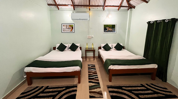 Room-Image-1.jpg