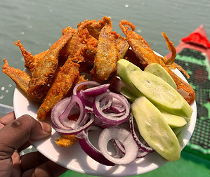 Food-3.jpg