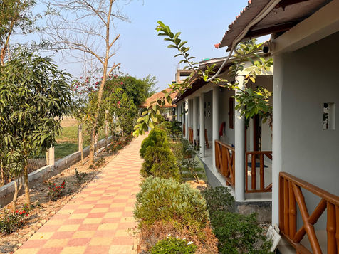 Lawn Area