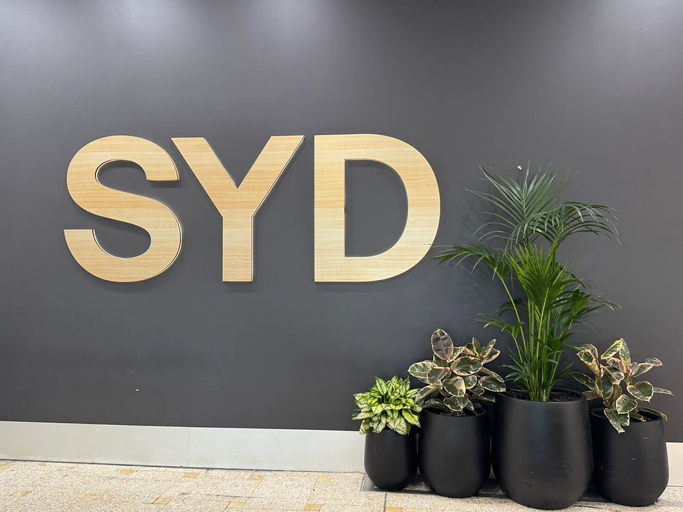 グレーの壁に大きな木製の「SYD」の文字が飾られ、その横に観葉植物が並ぶシドニー空港のディスプレイ。