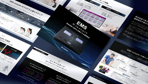 Ligua Co., Ltd.'s EMS indepth PowerPoint sales Presentation design