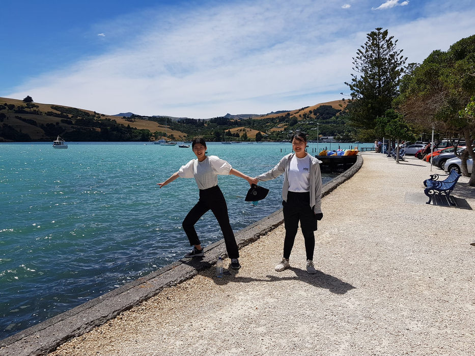 Japanese exchange students visiting the scenic coastal town of Akaroa in New Zealand.