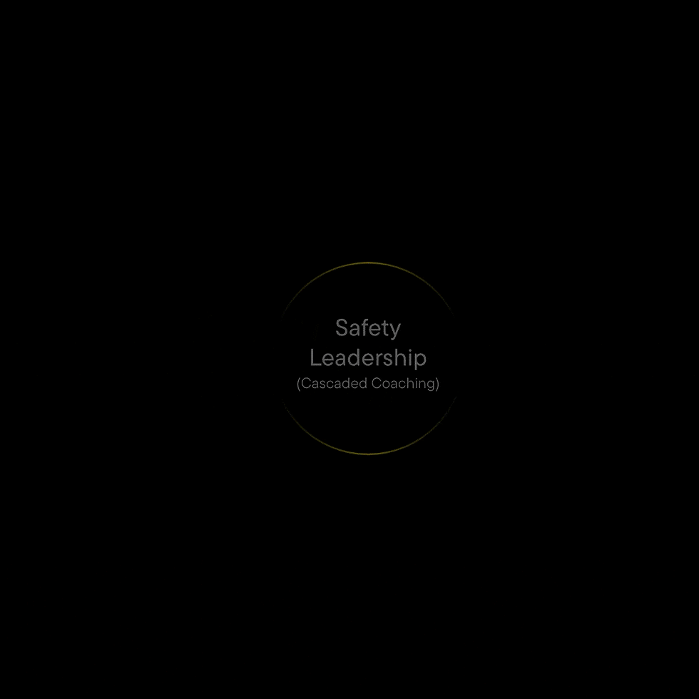Safety Intelligence Programme interface showing HSW strategy overview with a radial diagram and leadership & governance focus.
