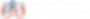 scli_logo_white_a.webp