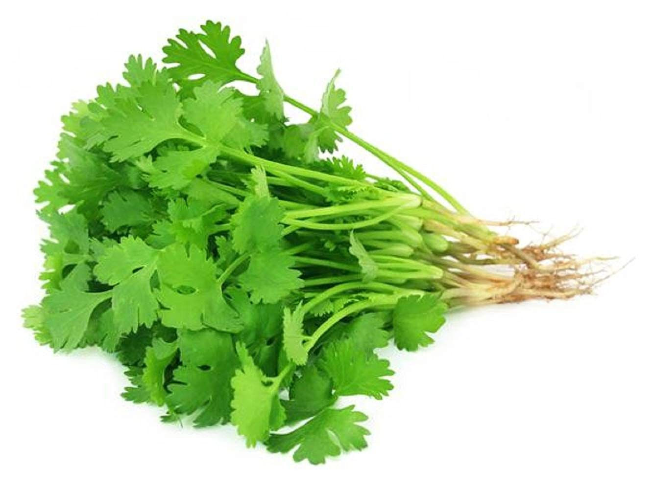 Green Coriander (Dhaniya) - (100gm) From Ajay Fruits and Vegetables