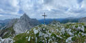 IMG_7279.jpeg