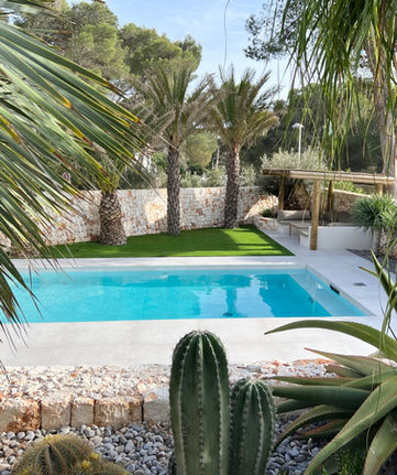 piscine et plantes 1.jpeg
