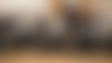 Bericht zur Jahreshauptversammlung 2025