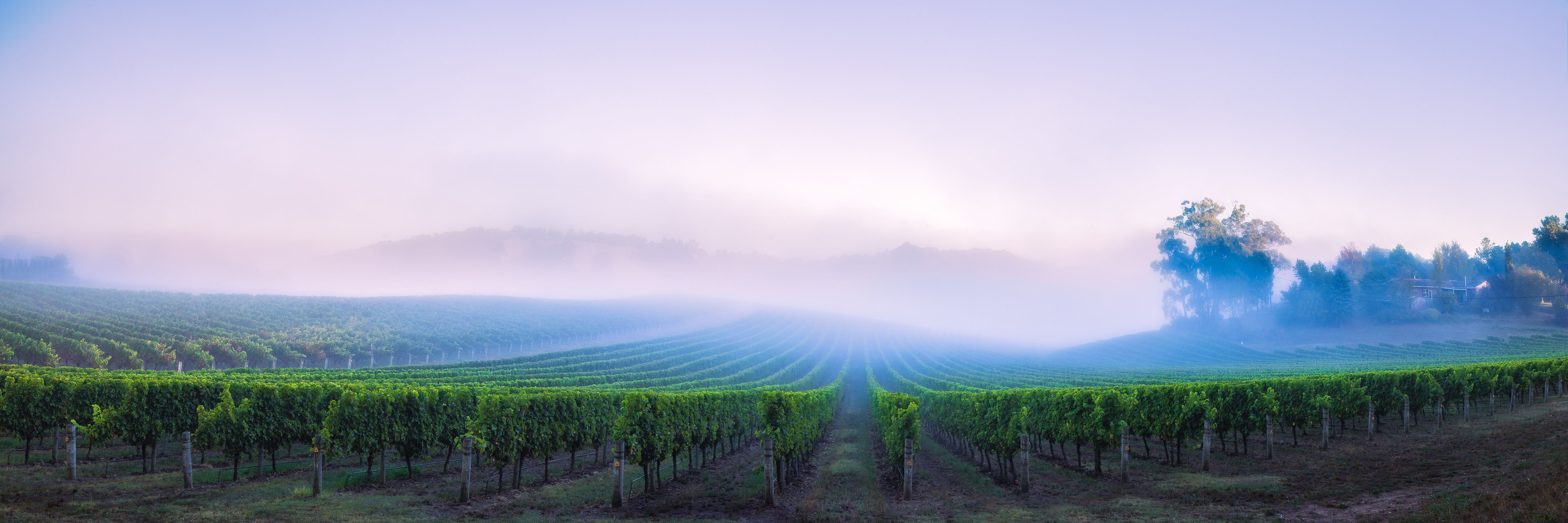 Rangeview Pano 3 : 1