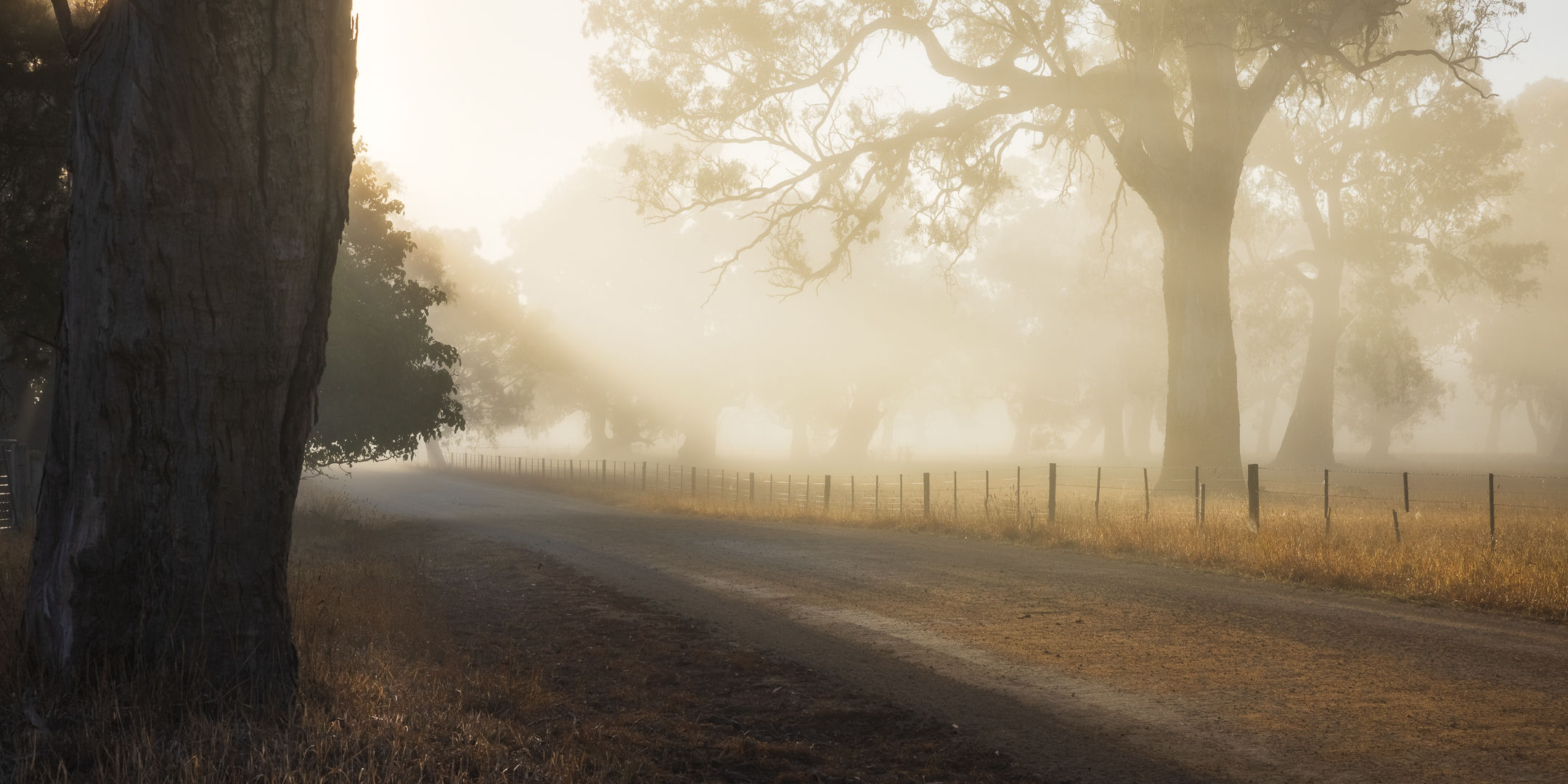 Dream Sequence 2 : 1