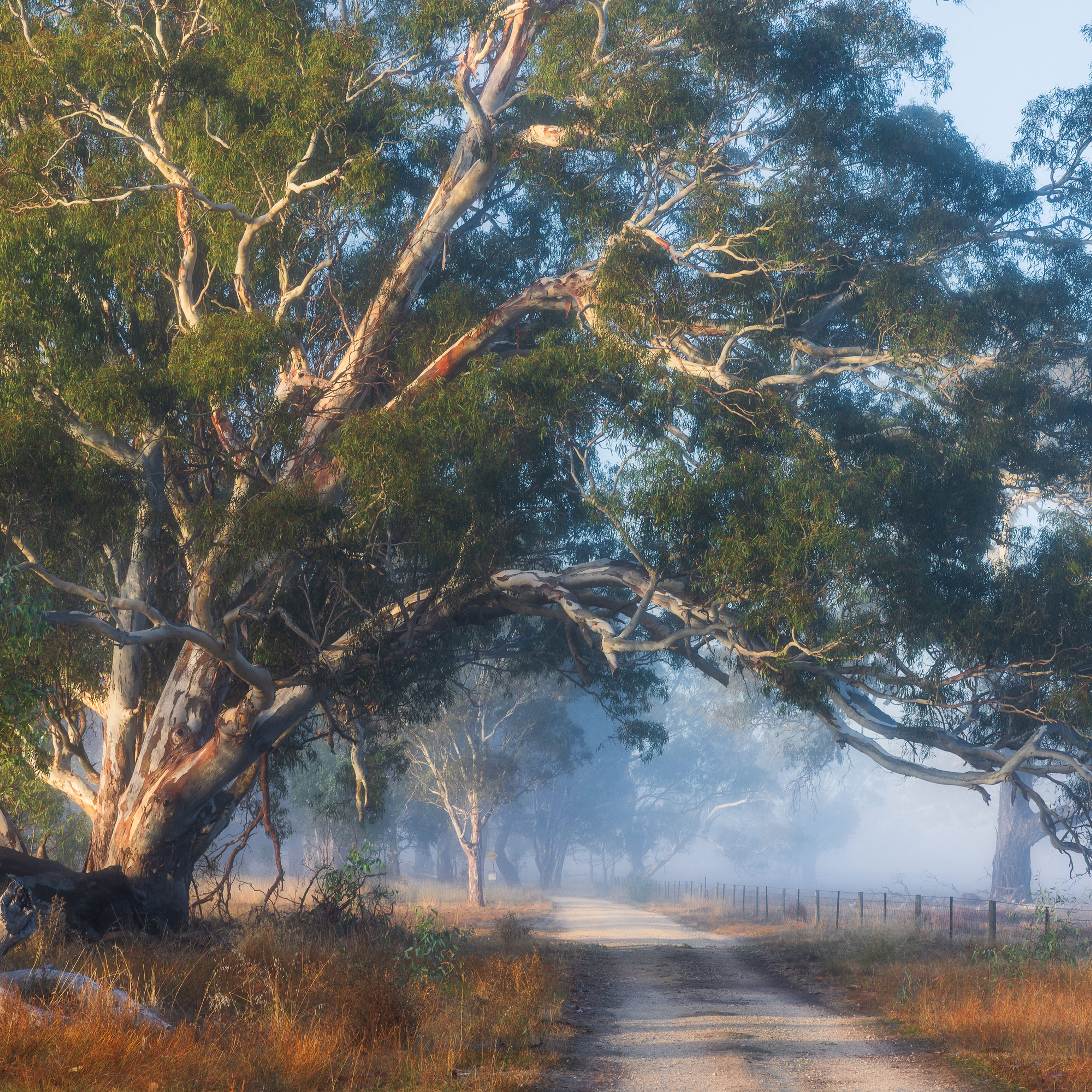 Mullinger Archway - Square