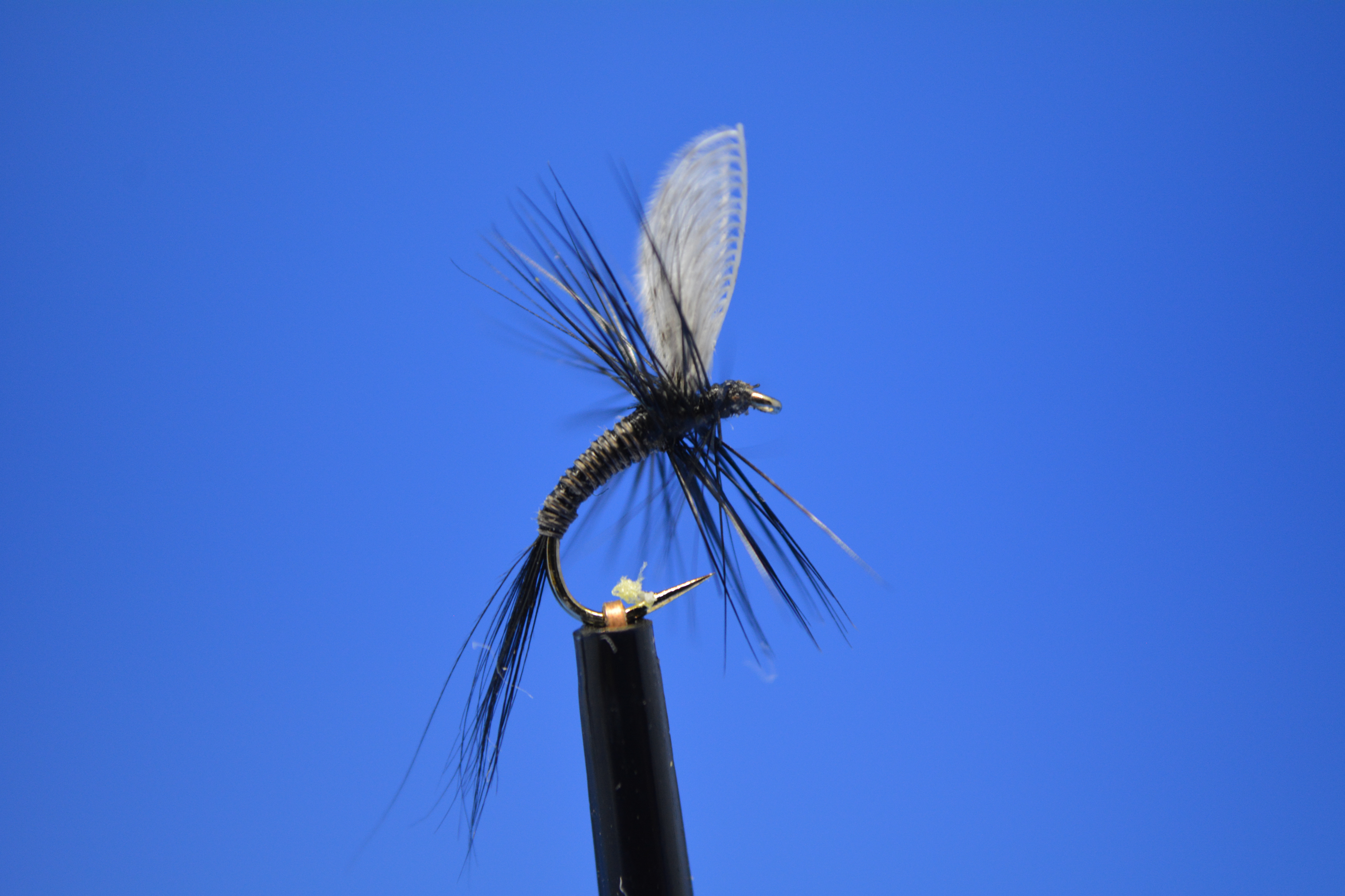 Small Black Wally Wing.JPG