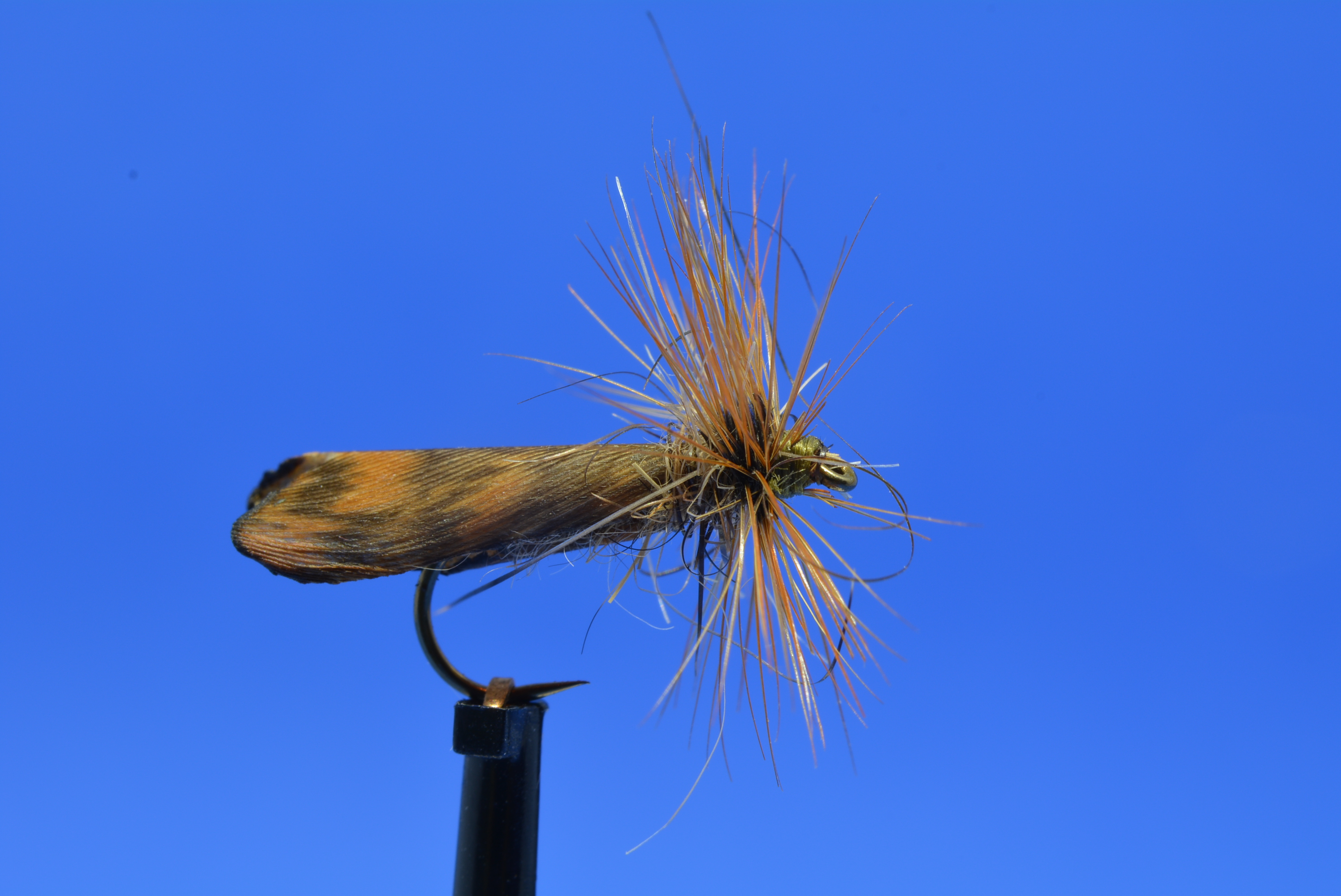 DSC_0035.JPG