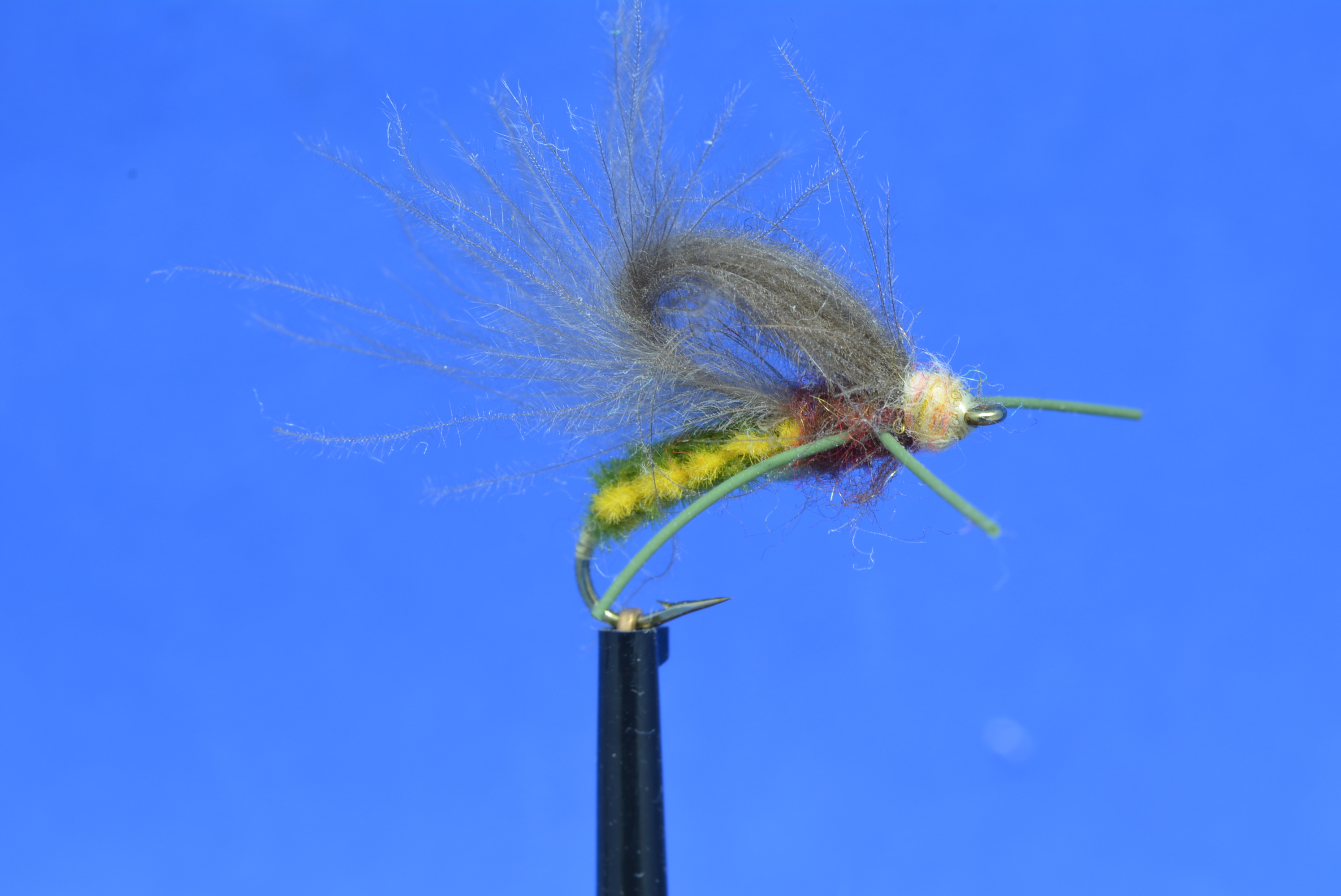 Knotted Emerging Caddis.JPG