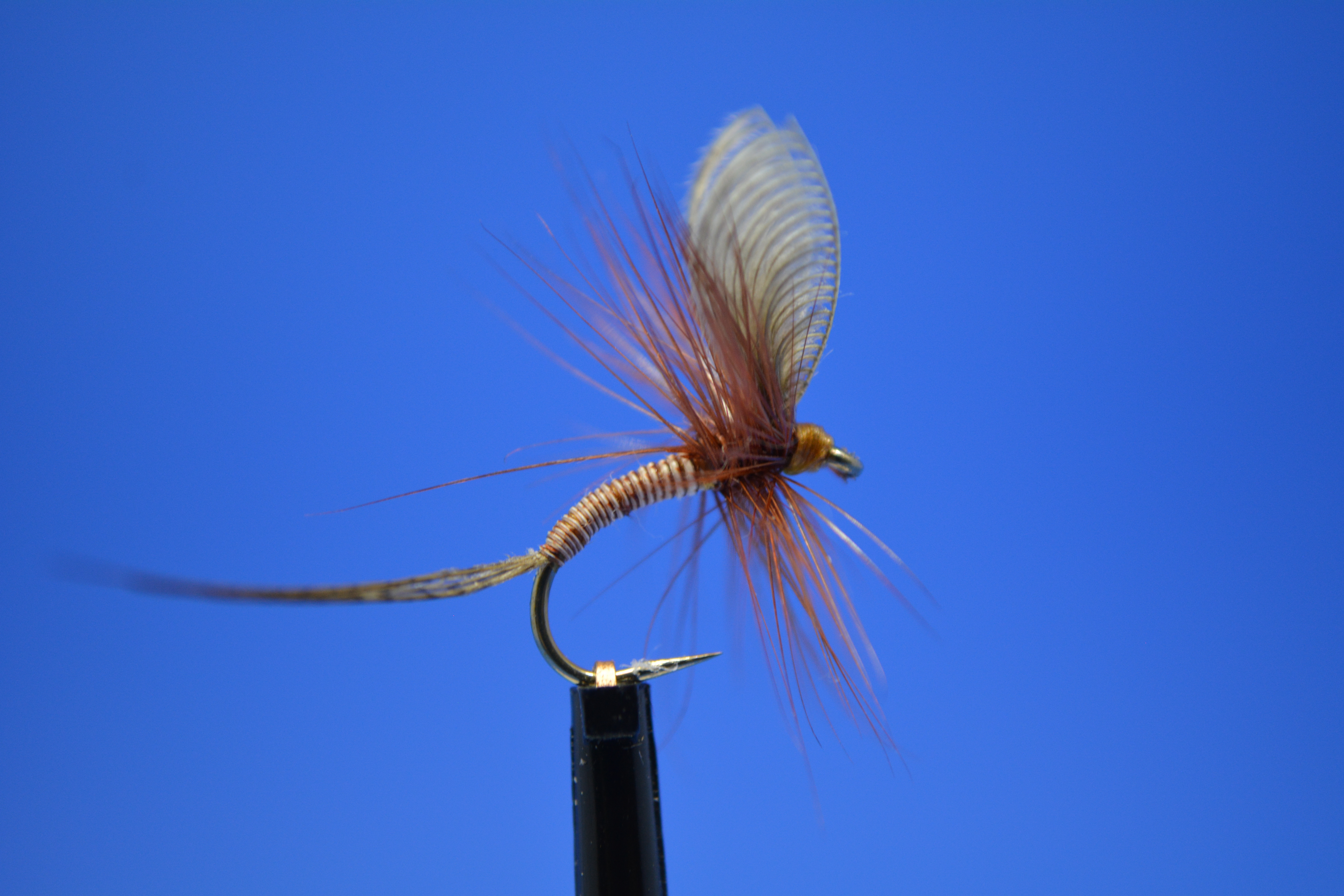 Wally Wing Mayfly.JPG