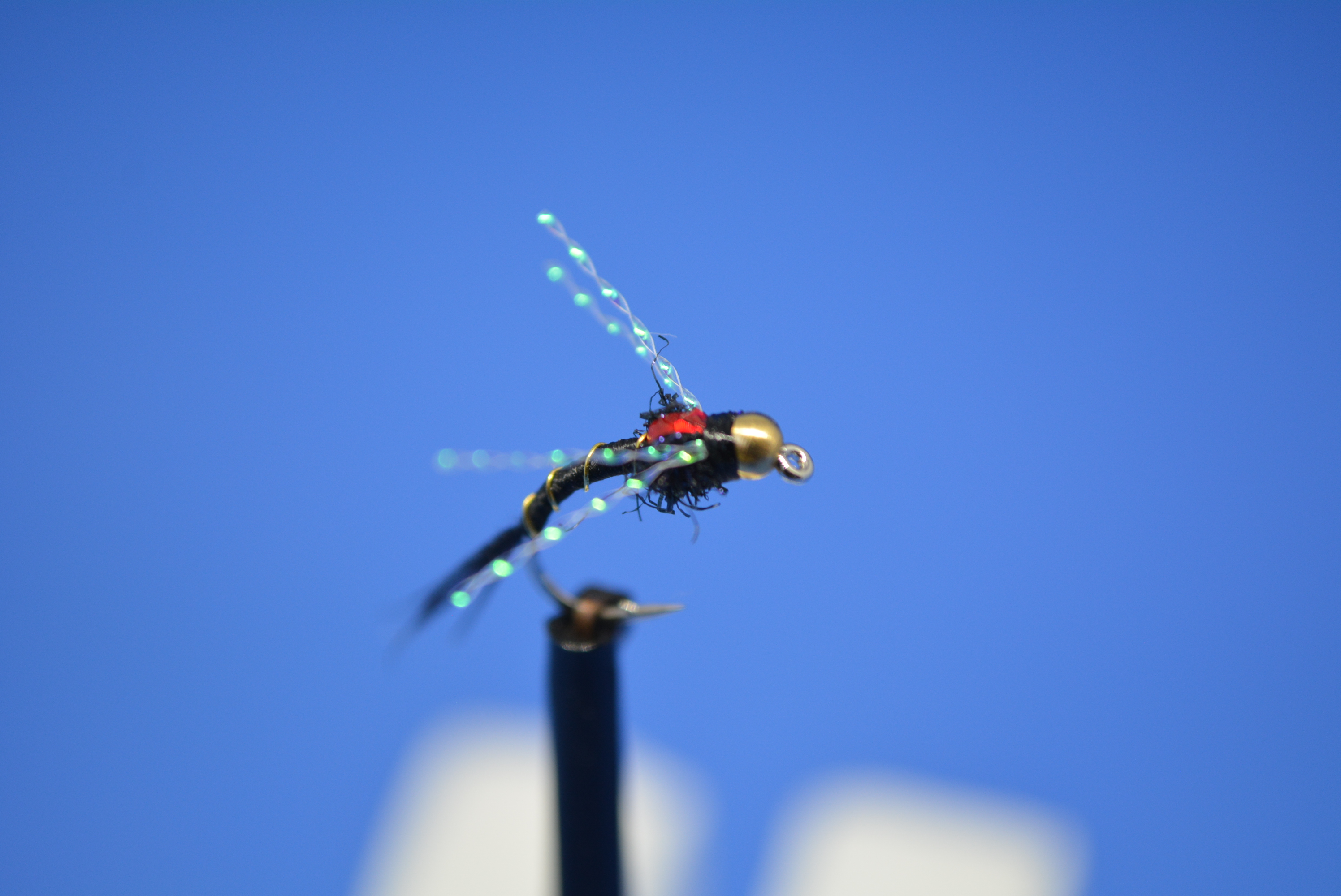 DSC_0029.JPG