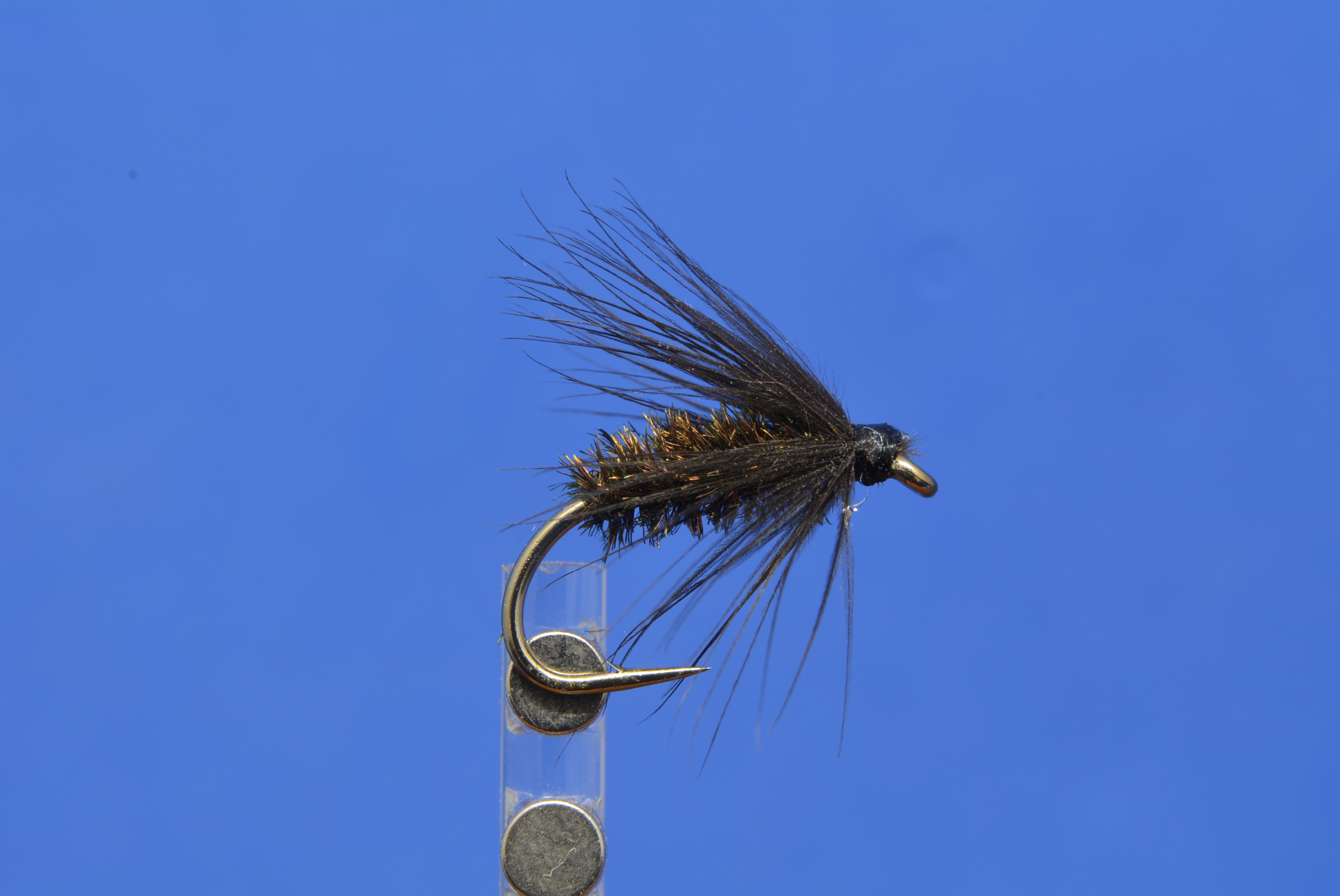 DSC_0147.JPG