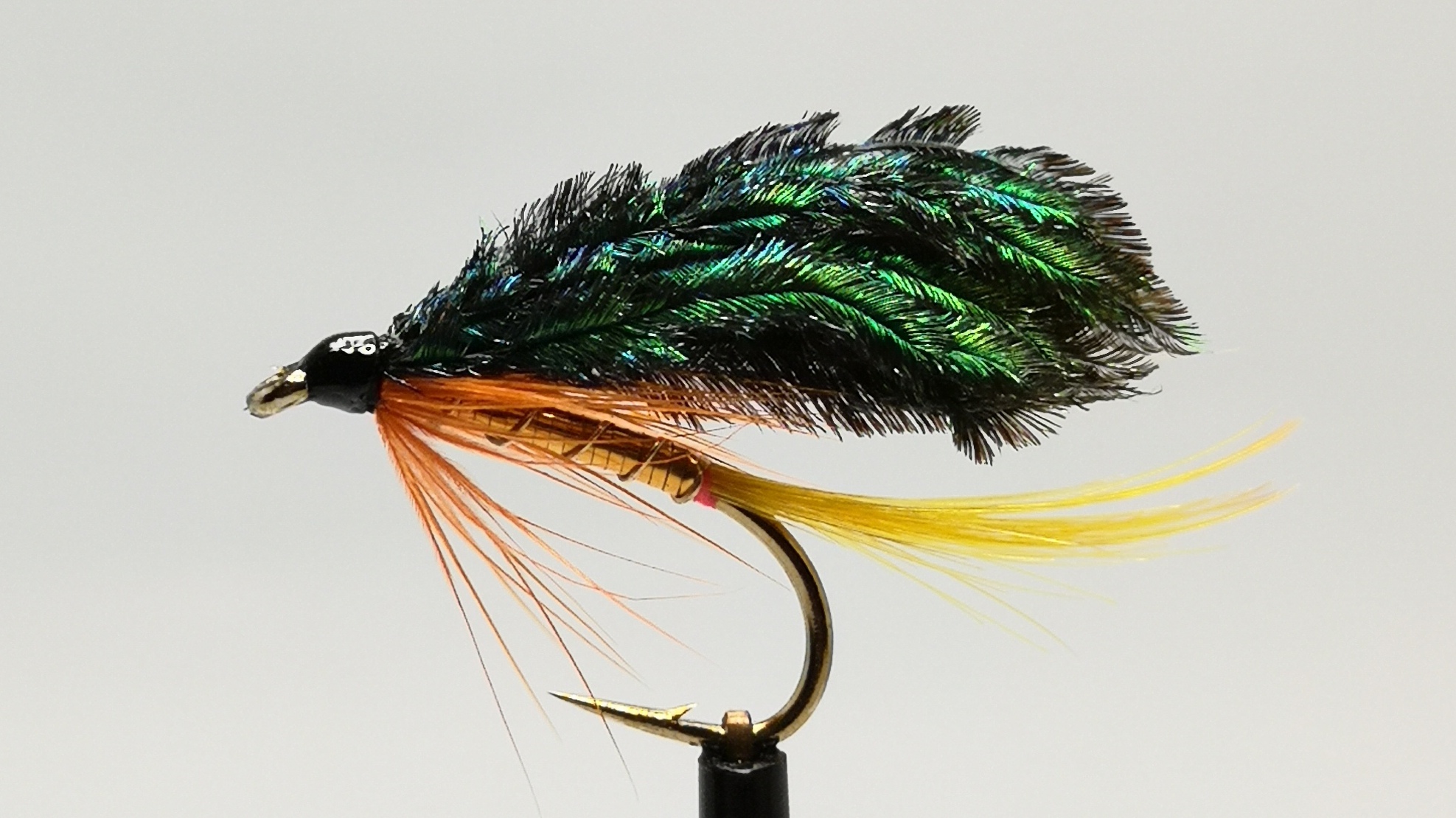 Frenzy tied by Phil Middleton.jpeg